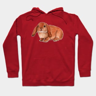 Red rabbit ram Hoodie